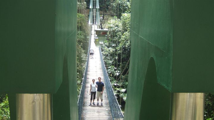 Brunei Rainforest Canopy